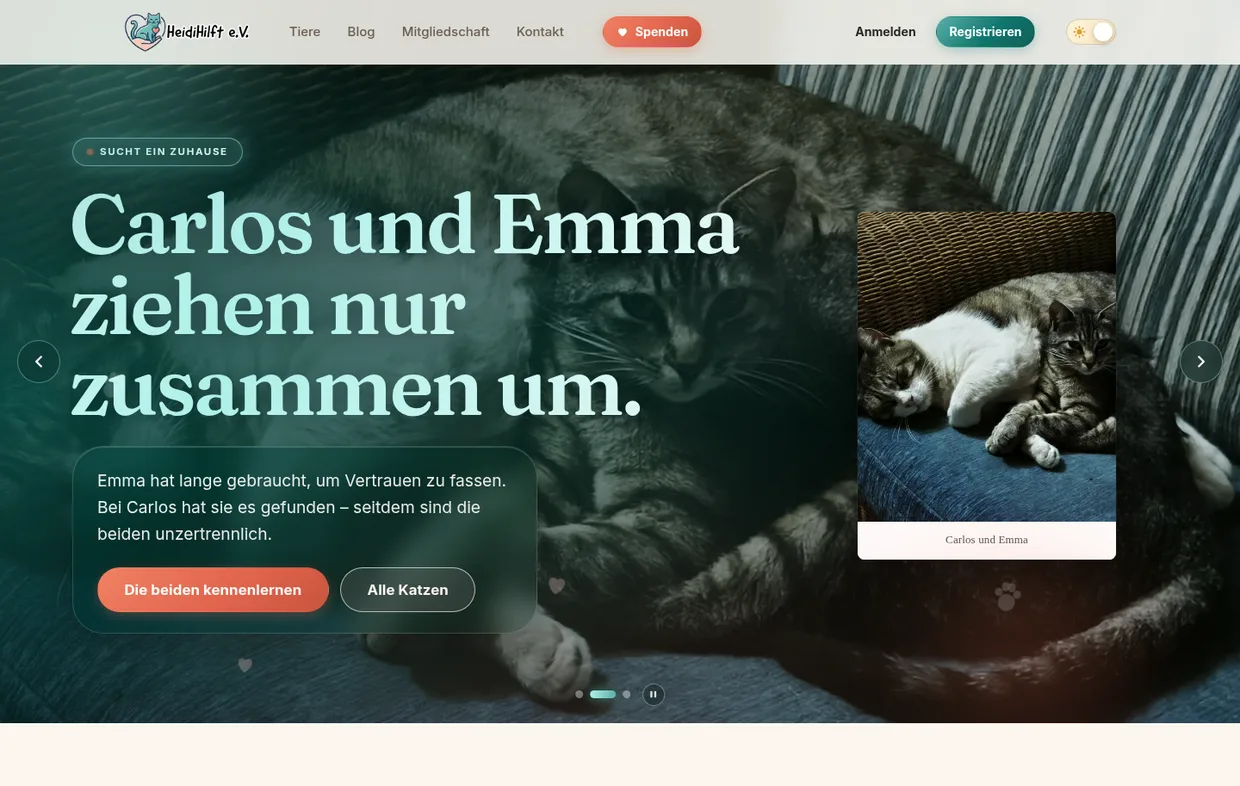 Startseite der Website von HeidiHilft